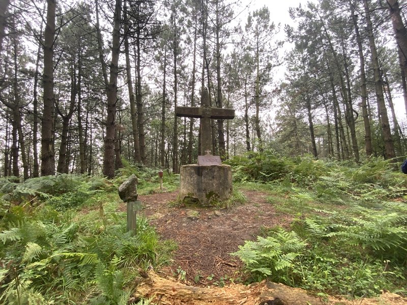 Tontorra
