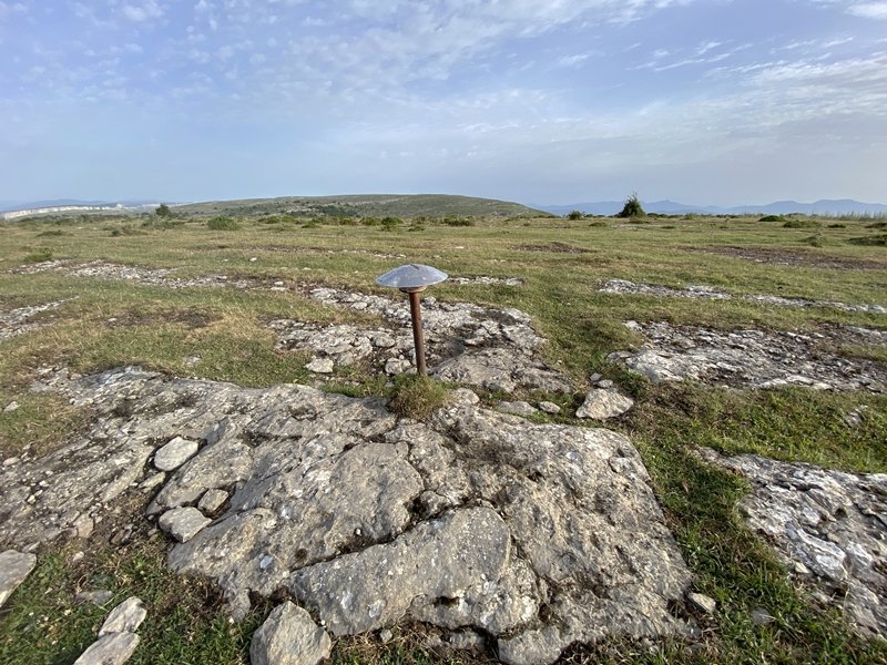 Tontorra