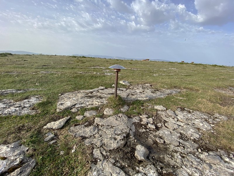 Tontorra