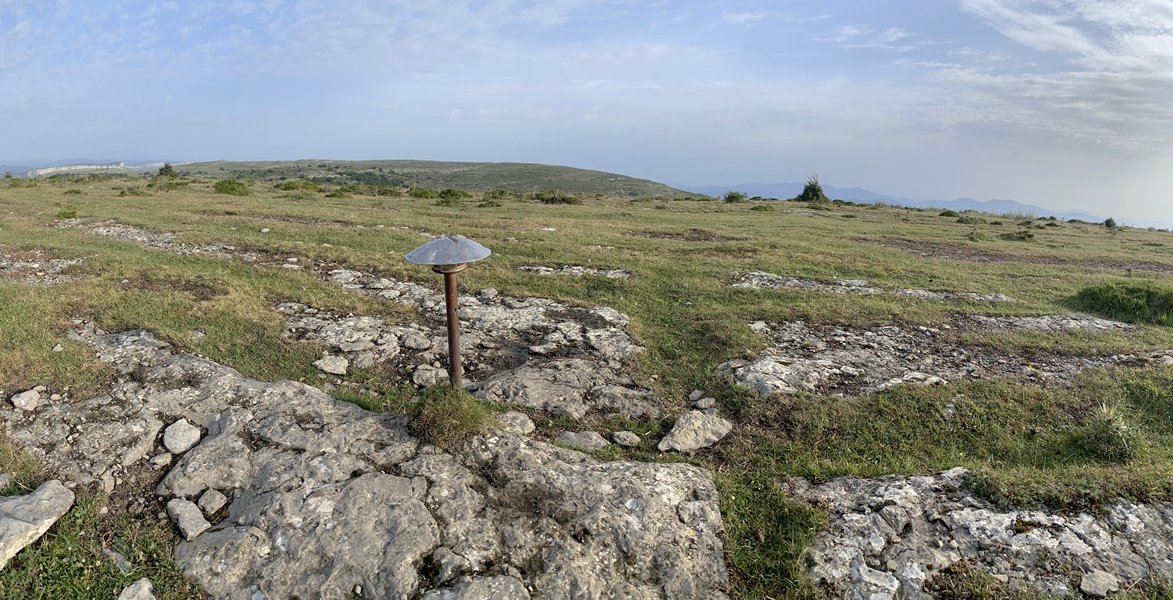 Tontorra