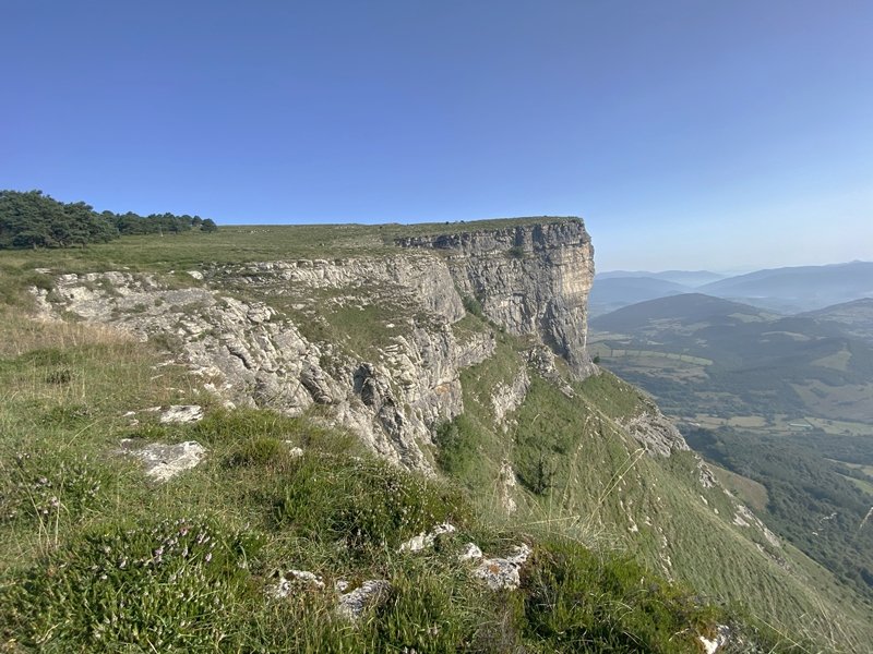 Bedarbide