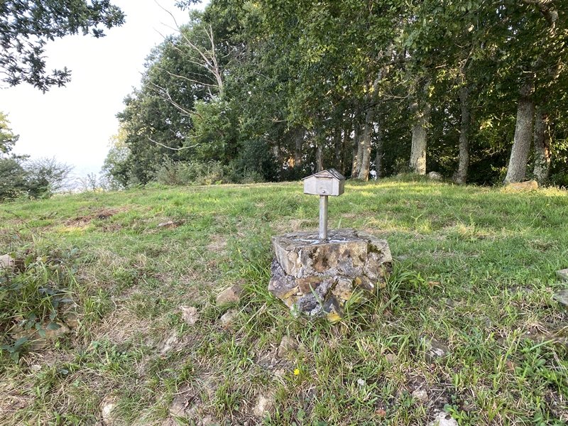 Tontorra