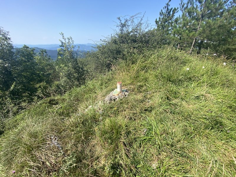 Tontorra