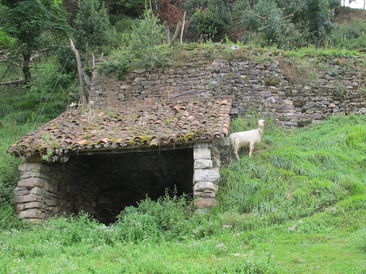 Karobia, Ibarra