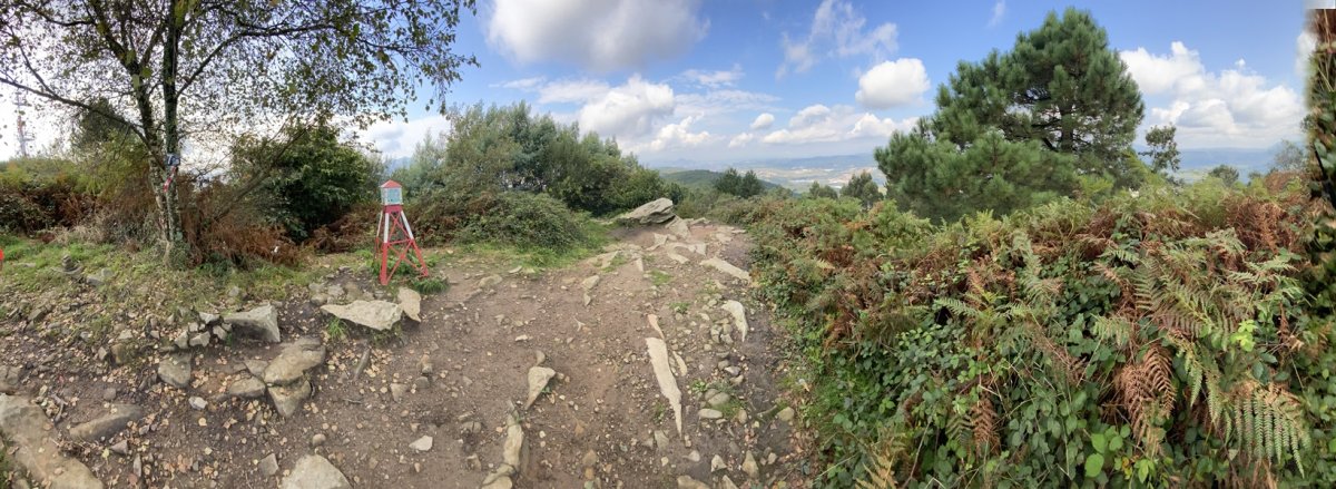 Tontorra