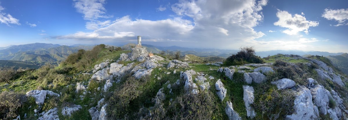 Tontorra
