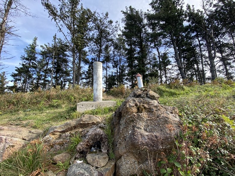 Tontorra