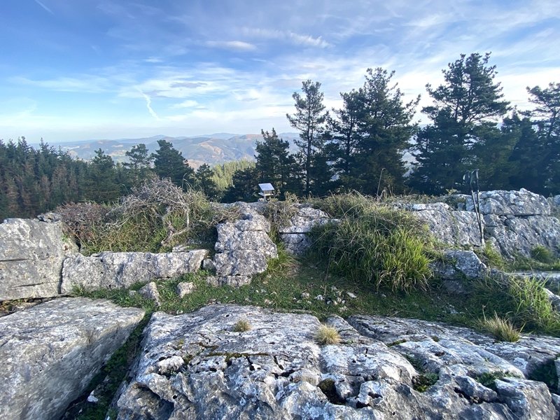 Tontorra