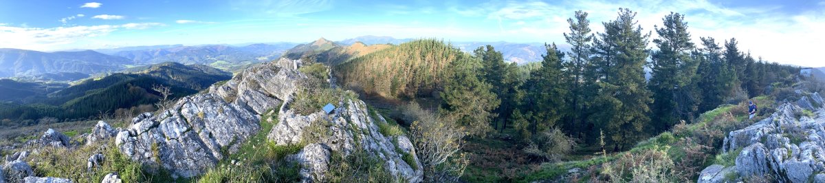 Tontorra
