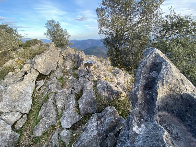 Tontorra
