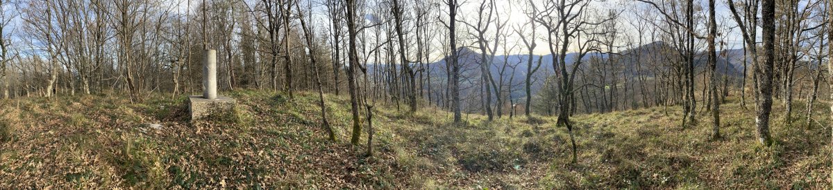 Tontorra