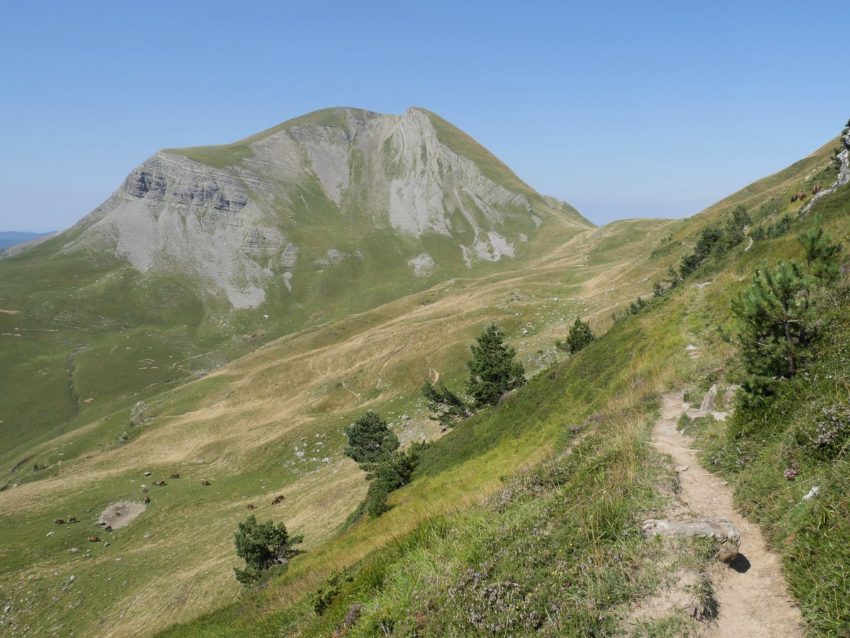 Otsogorrigaina Sardekagainaren magaletik