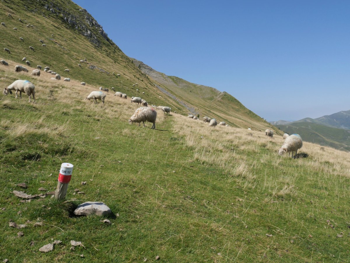 GR-12aren arrastoan Otsogorrigaina inguratzen