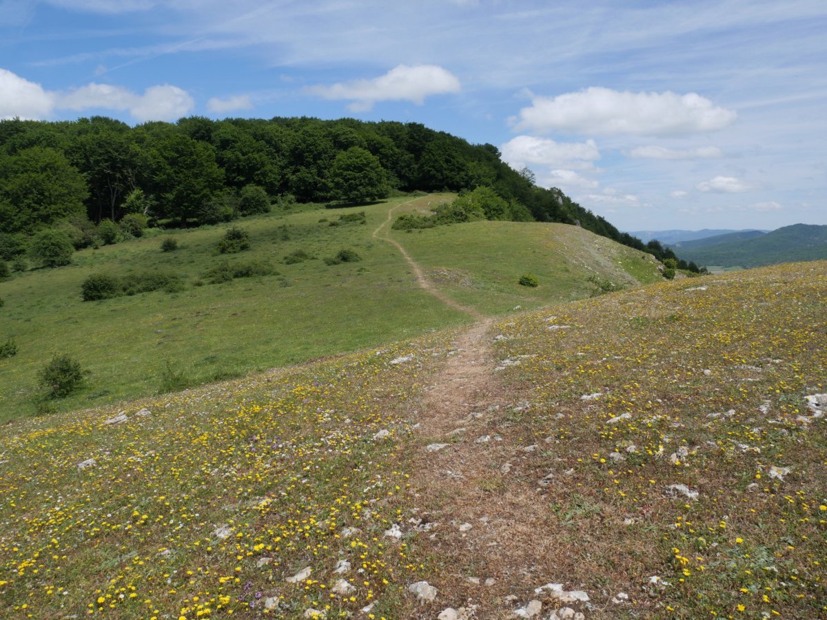 Santa Teodosia aldetik Txandira igotzen den bidea
