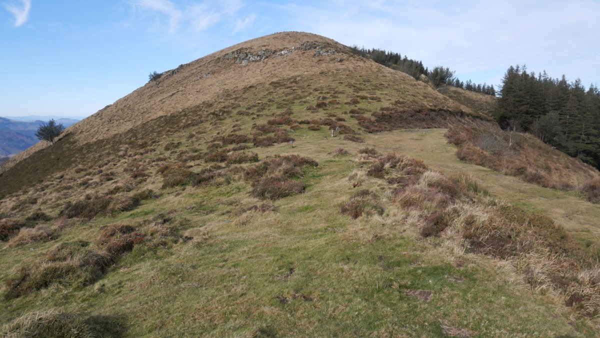 Beltzuntza, HEko lepotik ikusita