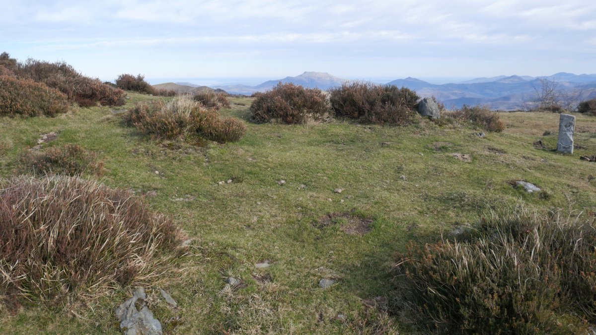 Beltzuntza harrespila