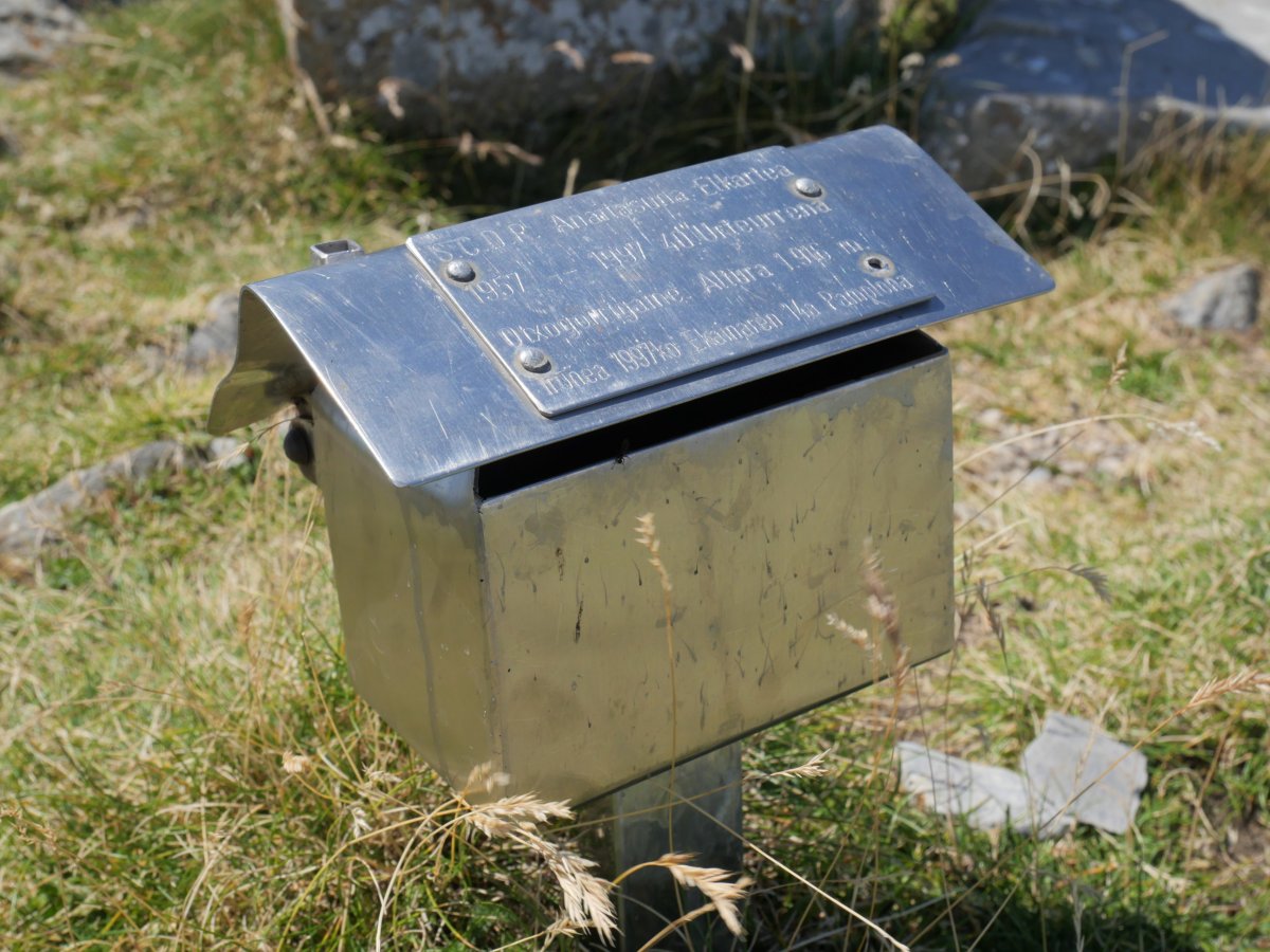 Txartelontzia, Otsogorrigaina