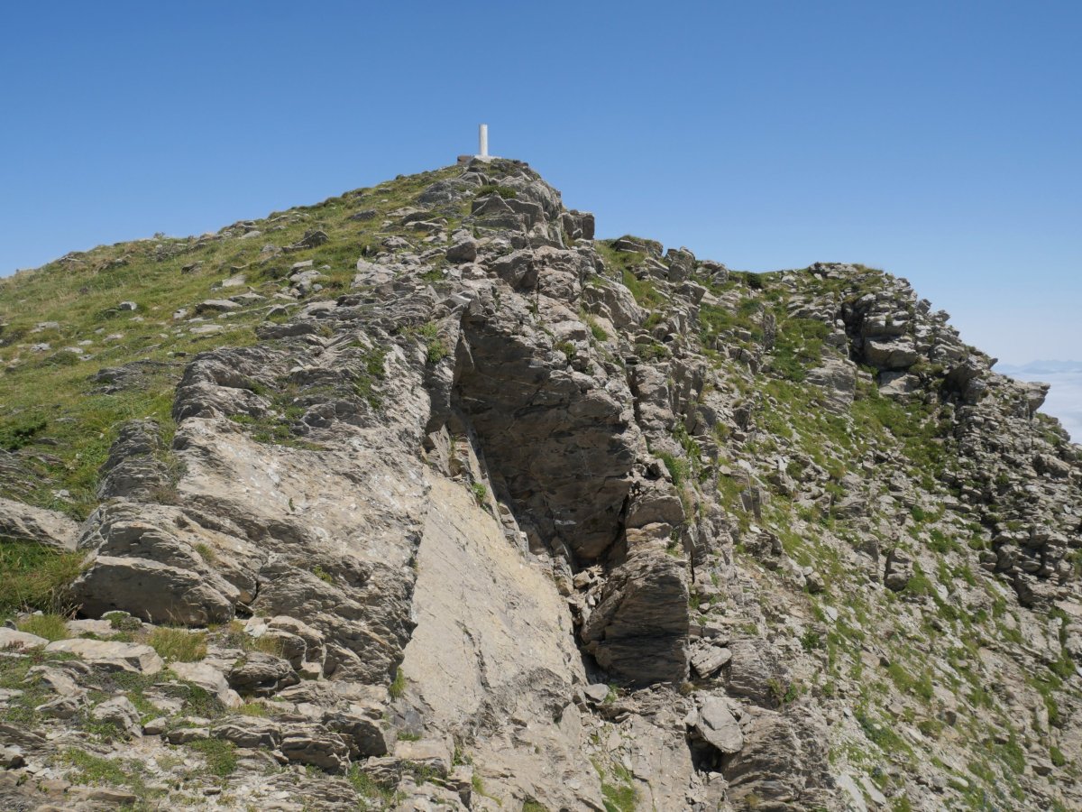 Otsogorrigaina tontorra, hegoaldeko bizkarretik