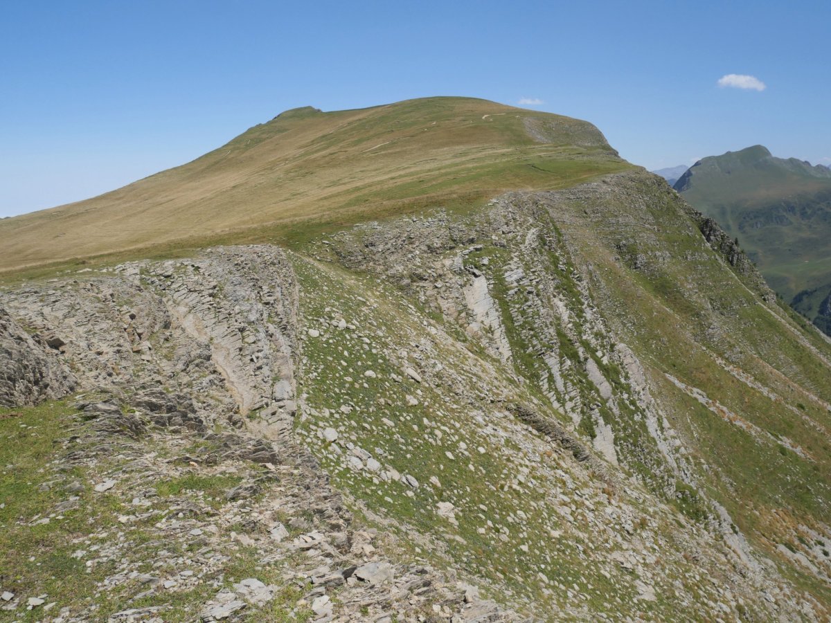 Otsogorrigaina, Otsogorritxipitik