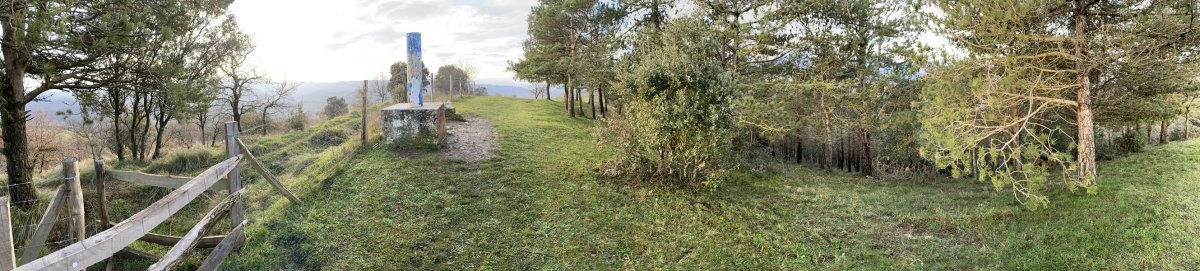 Tontorra