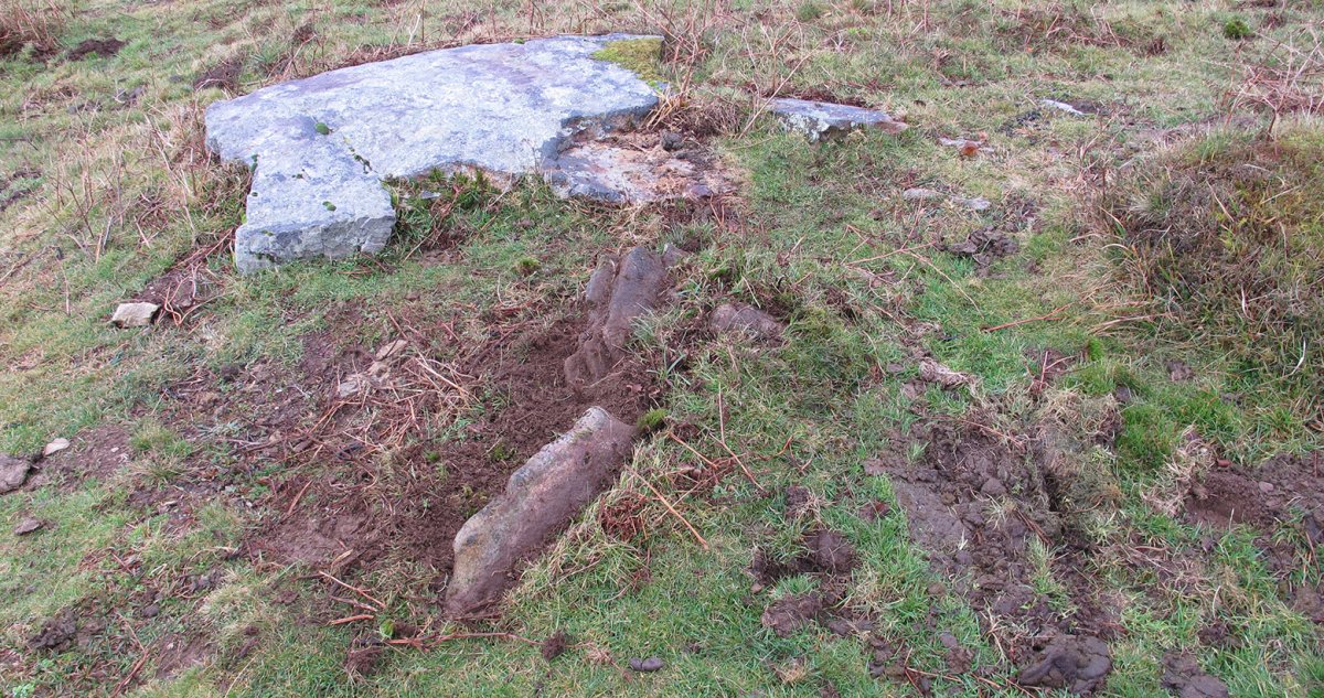 Urganbide trikuharria, Goizueta