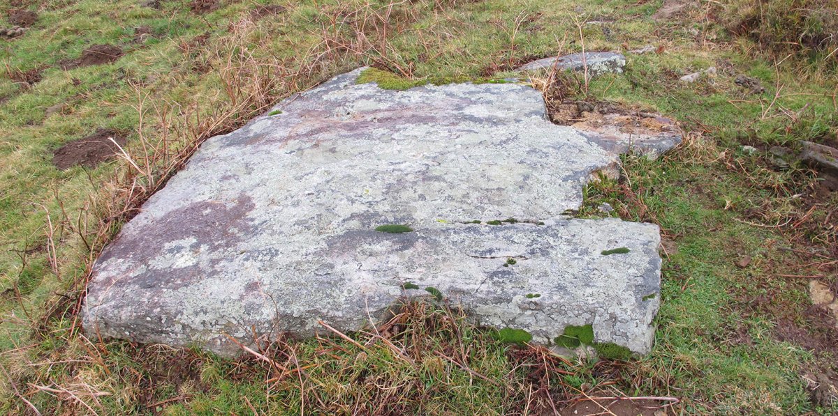 Urganbide trikuharria, Goizueta