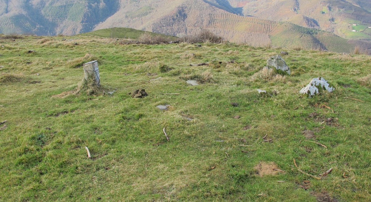 Deskargako Arrieta harrespila, Goizueta