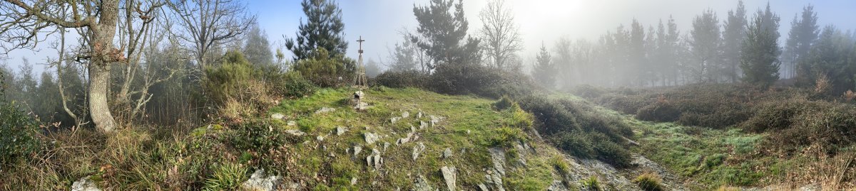Tontorra