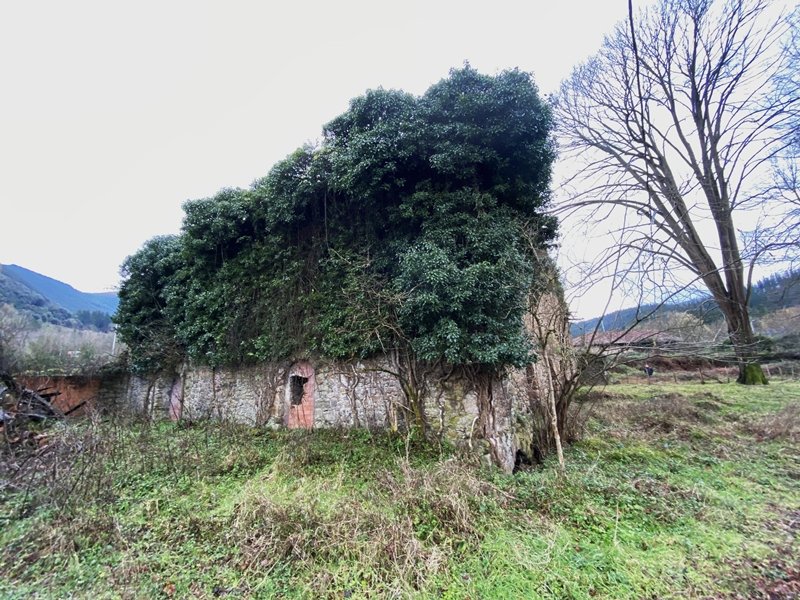 Anuntzibai Burdinola