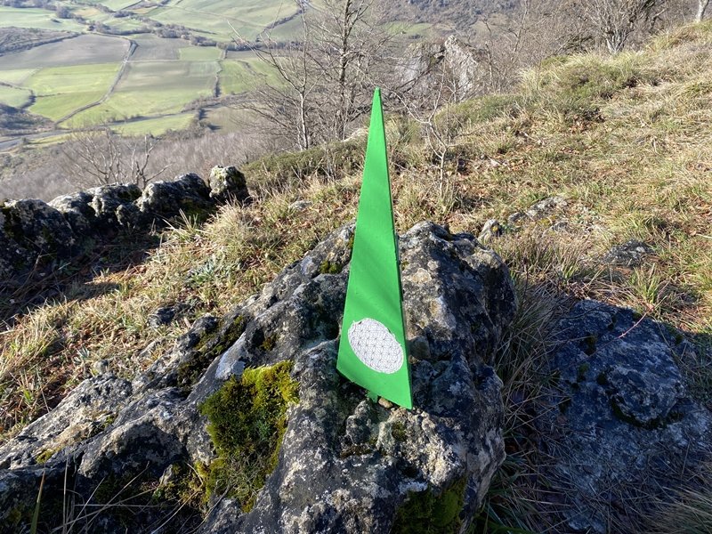Buzoia