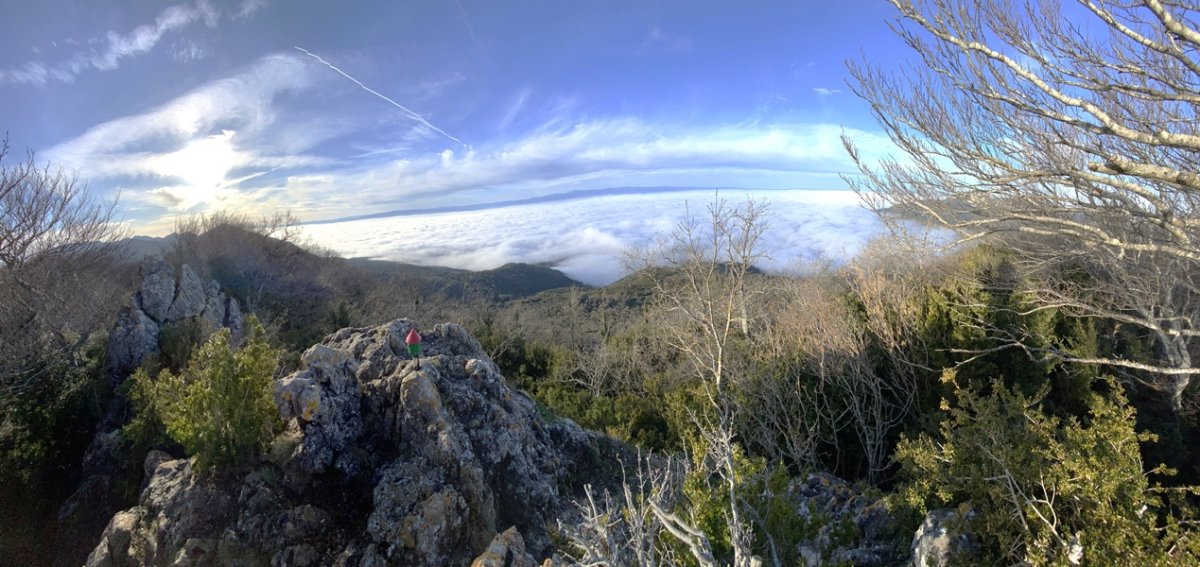 Tontorra