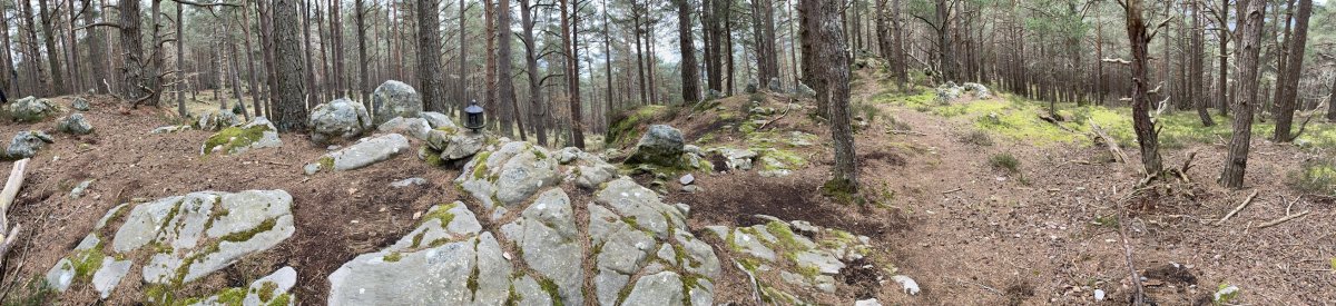 Tontorra