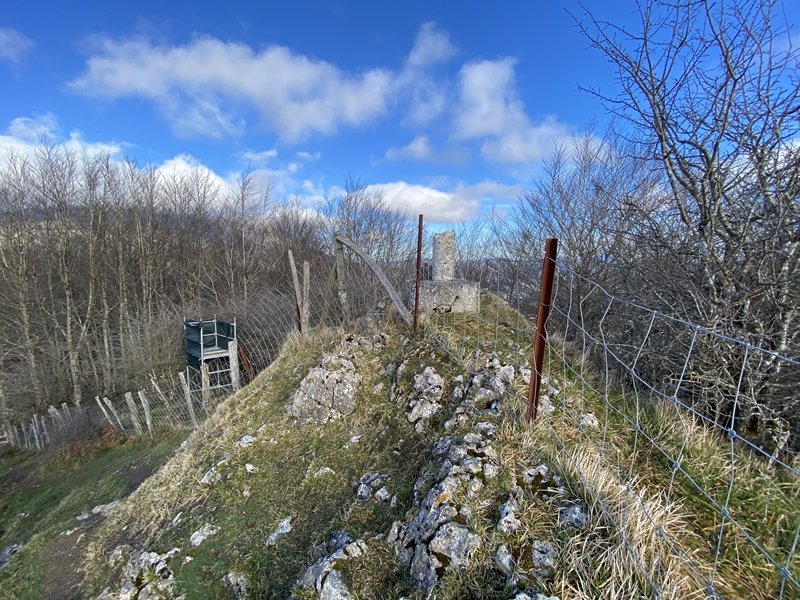 Tontorra