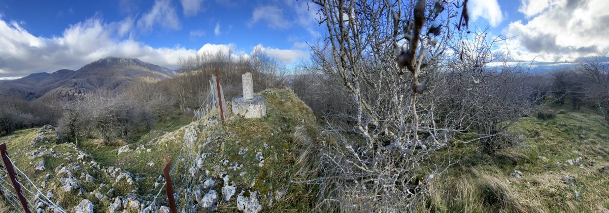 Tontorra