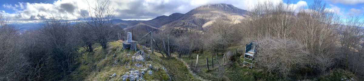Tontorra