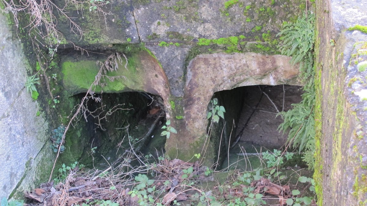 Errota, Ziordia