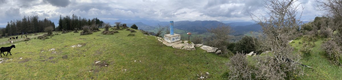 Tontorra