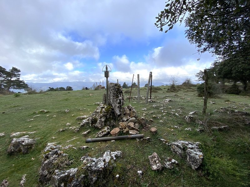 Tontorra