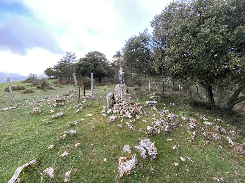 Tontorra