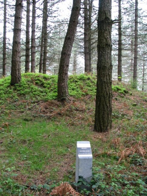 Bidaarte I trikuharria