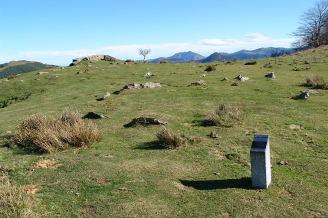 Arleorko Zabaleko mairubaratza