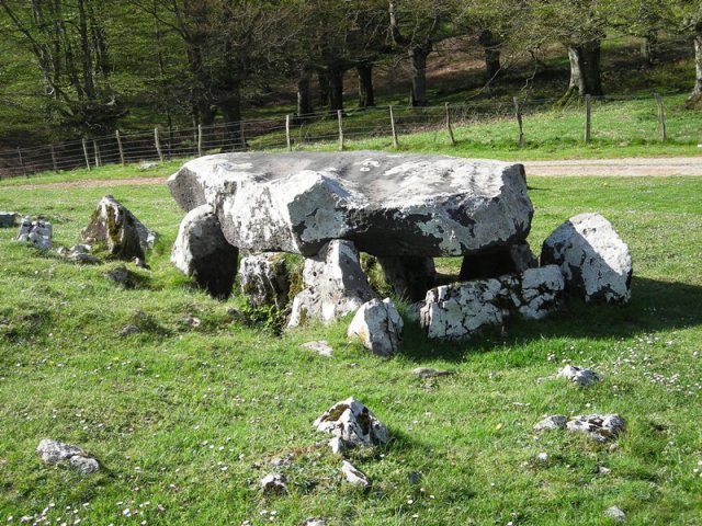 Jentillarriko  trikuharria