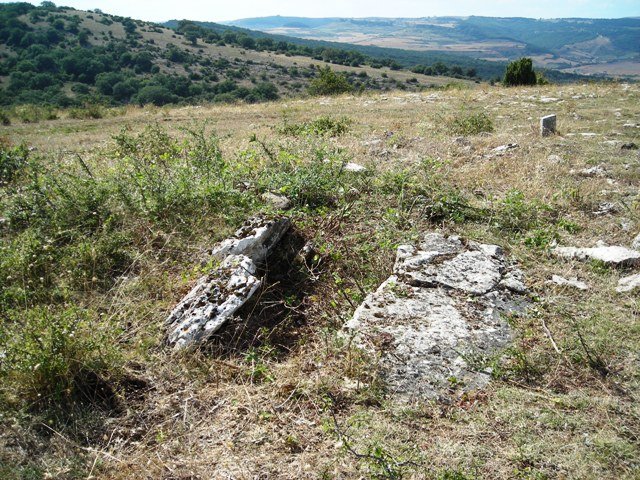 Sarbil Zelaiko trikuharria