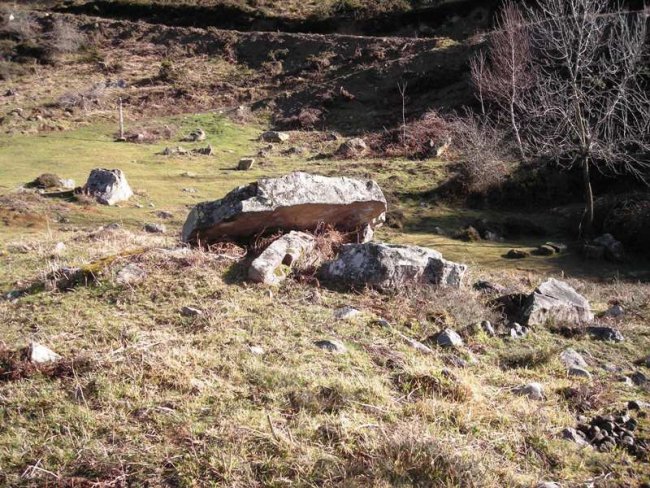 Turreiko Aska trikuharria