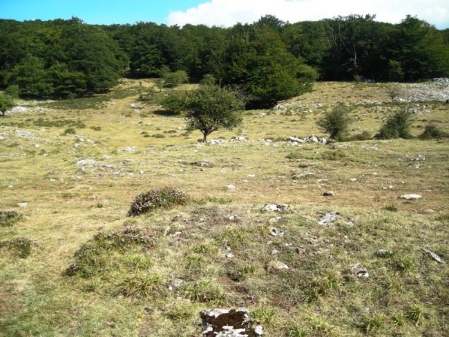 Txopordi ekialde campo tumular