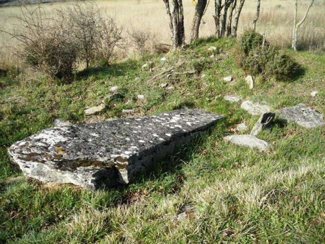 Gurpide ipar trikuharria