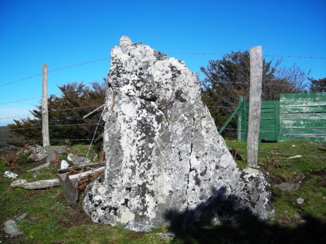 Bidangoko Gaina  zutarria