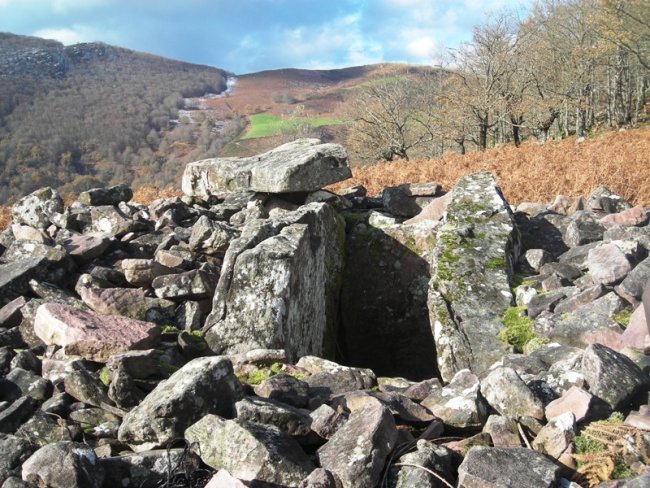 Aznabazterra  trikuharria