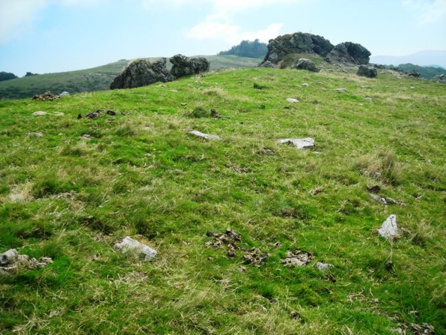 Arbilleta harrespilak