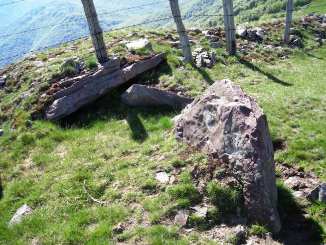 Uztanborro trikuharria